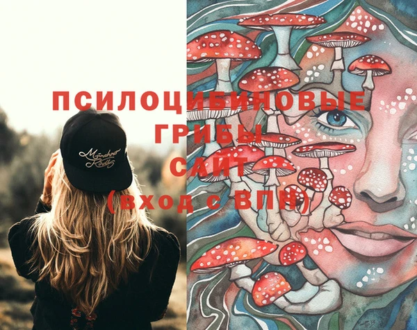 дживик Медногорск