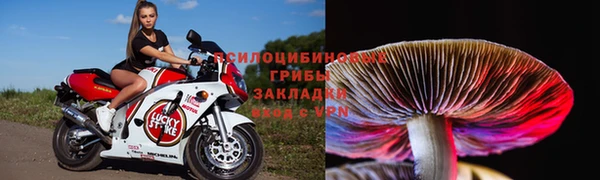 дживик Медногорск