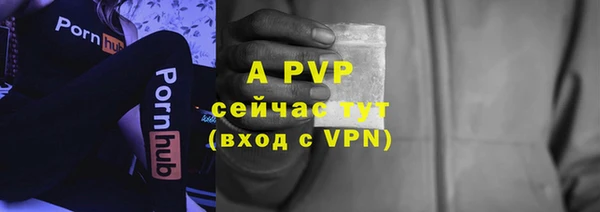 молекула духа Мегион