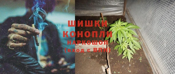 ГАЛЛЮЦИНОГЕННЫЕ ГРИБЫ Медвежьегорск