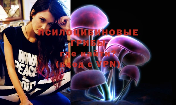 ГАЛЛЮЦИНОГЕННЫЕ ГРИБЫ Медвежьегорск