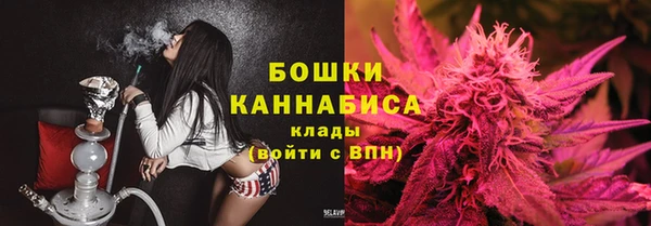 ГАЛЛЮЦИНОГЕННЫЕ ГРИБЫ Медвежьегорск