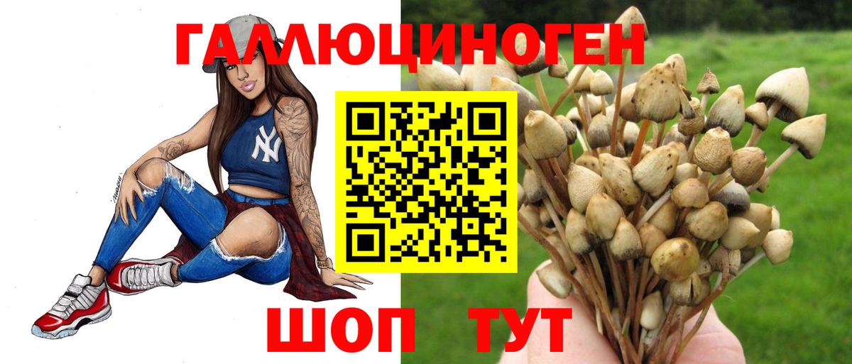 Галлюциногенные грибы Psilocybe Татарск