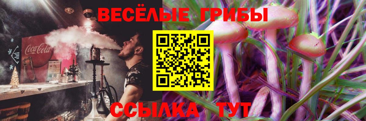 Галлюциногенные грибы прущие грибы Татарск