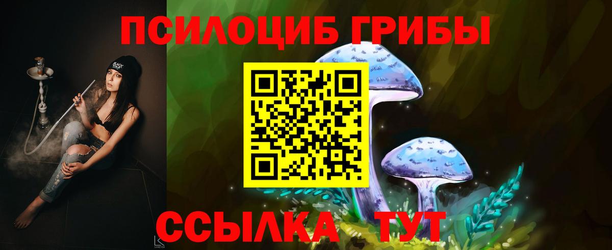 Татарск  Псилоцибиновые грибы Psilocybine cubensis  Вход с VPN  Галлюциногенные грибы Psilocybine cubensis 